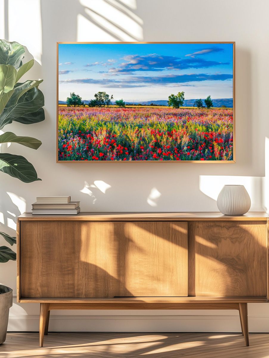 Red poppy field. Free public. — room view 3