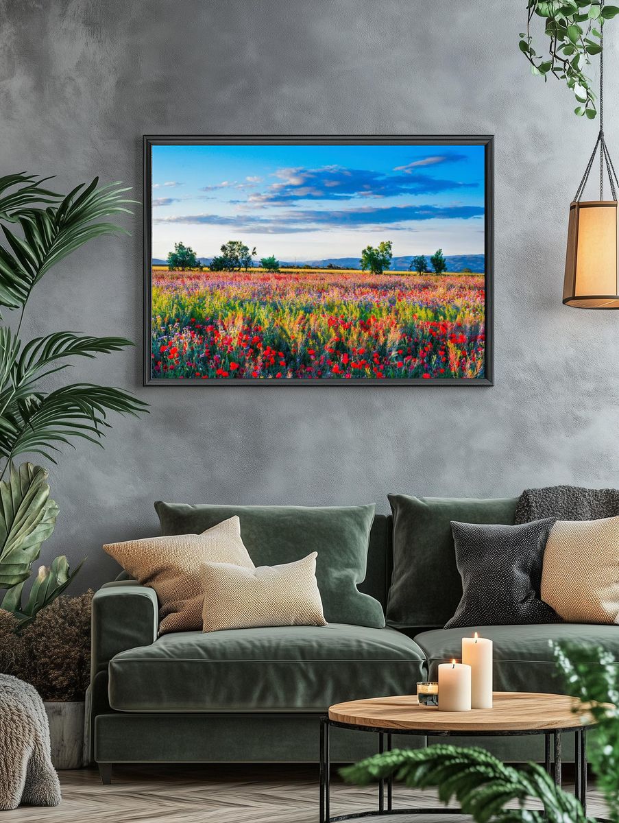 Red poppy field. Free public. — room view 4