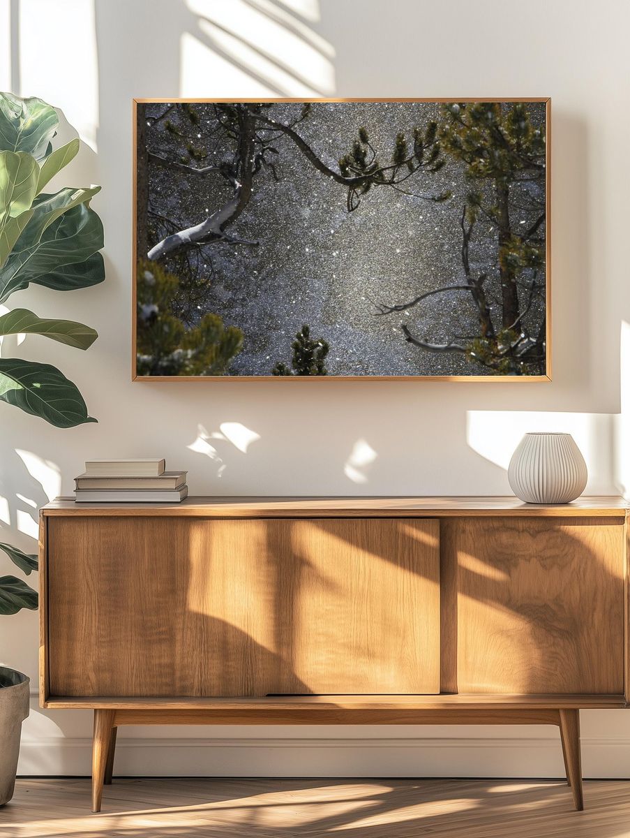Snowy Forest Reflection Poster. — room view 3