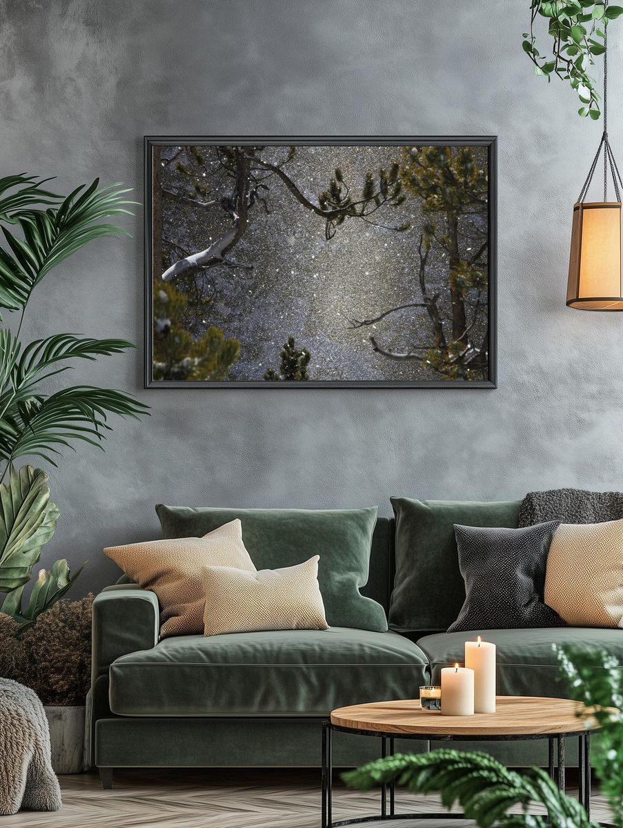 Snowy Forest Reflection Poster. — room view 4