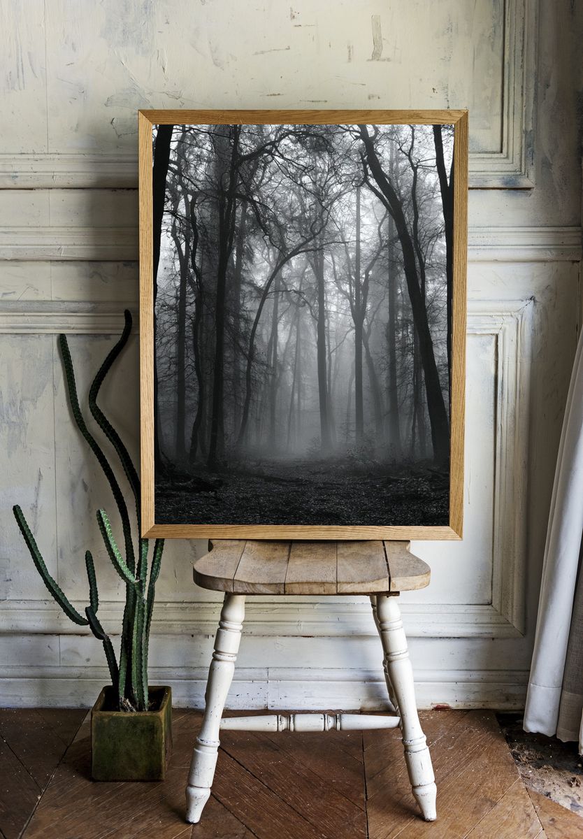 Misty Forest Path Photography Poster. room preview