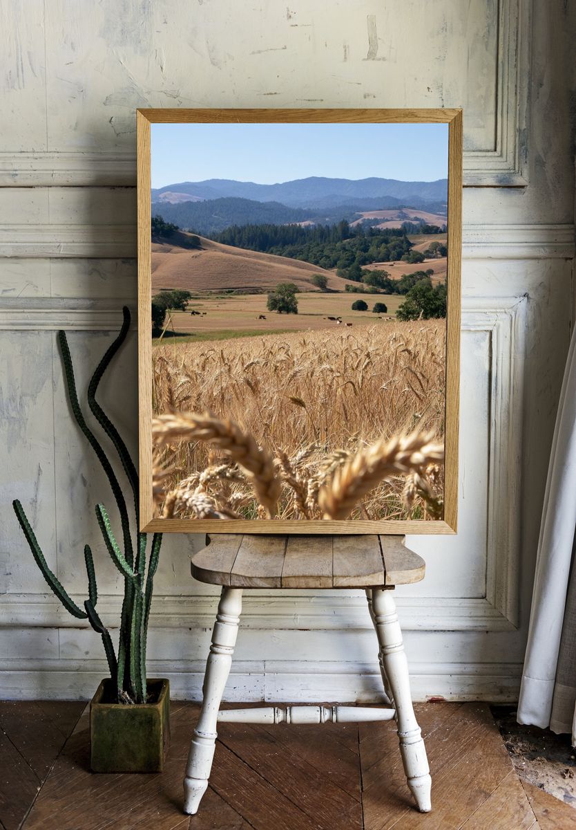 Golden Wheat Hills Landscape Print. room preview