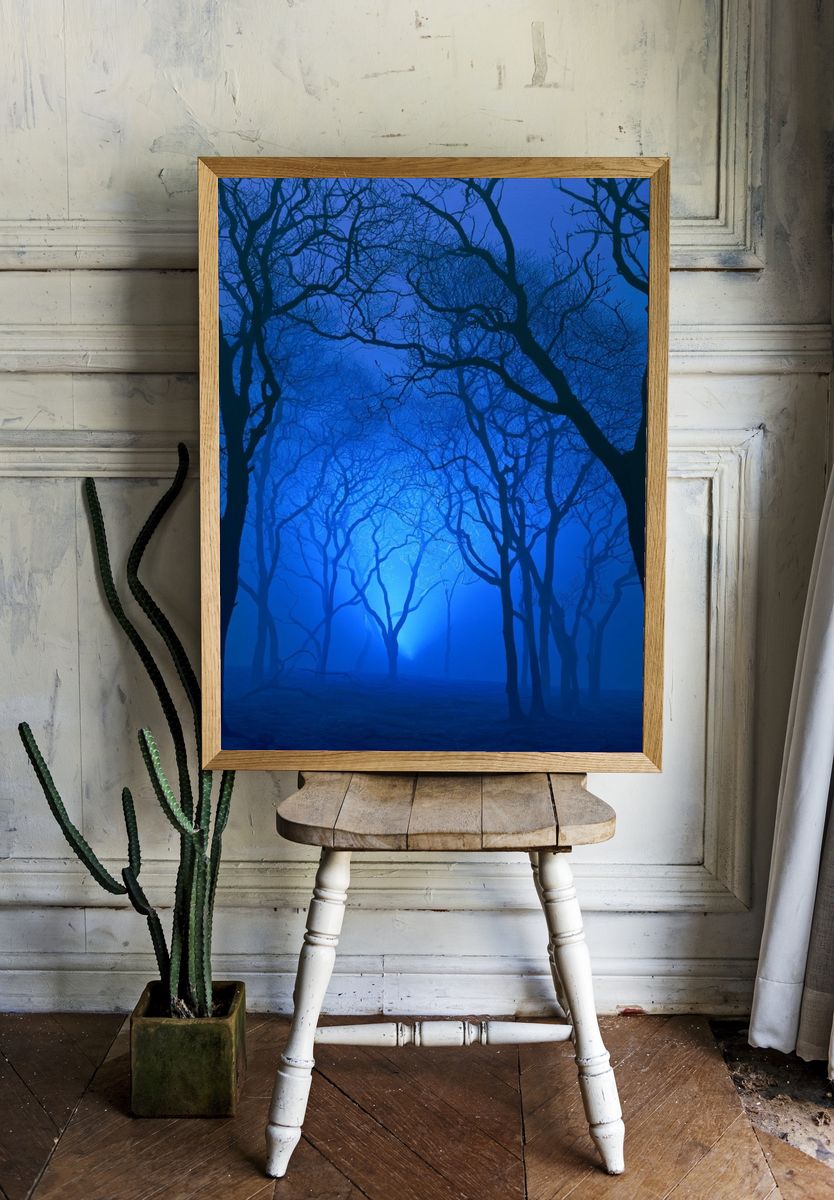Blue Misty Forest Poster. room preview