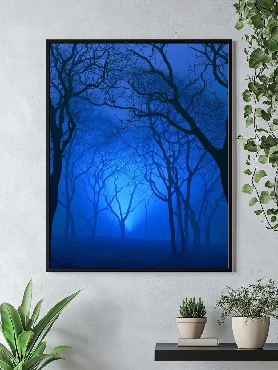 Blue Misty Forest Poster. — room view 4