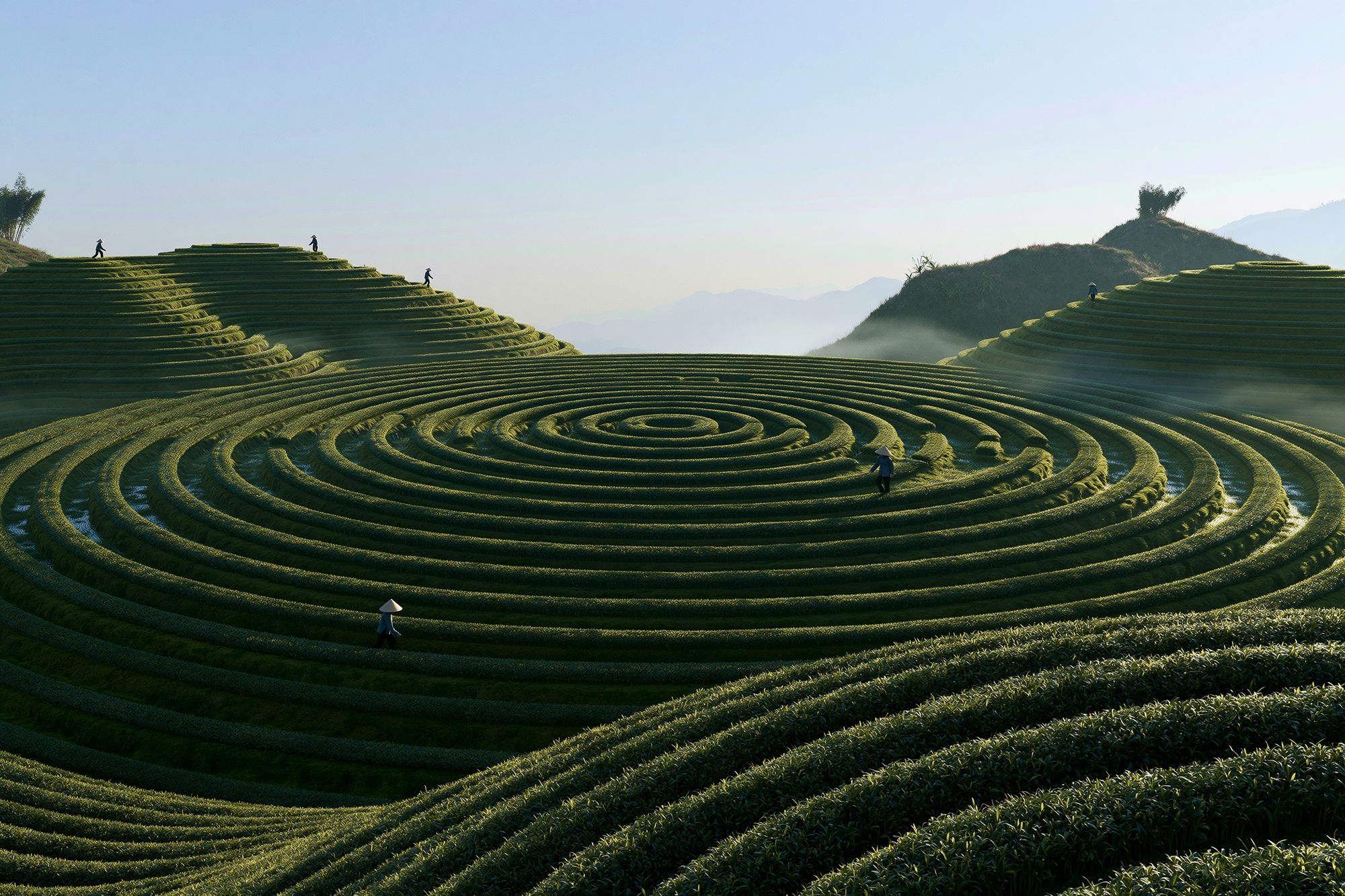 Terraced Tea Fields Landscape Print. poster — nature art