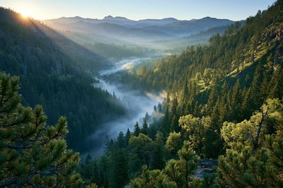 Misty Mountain Forest Sunrise Poster.