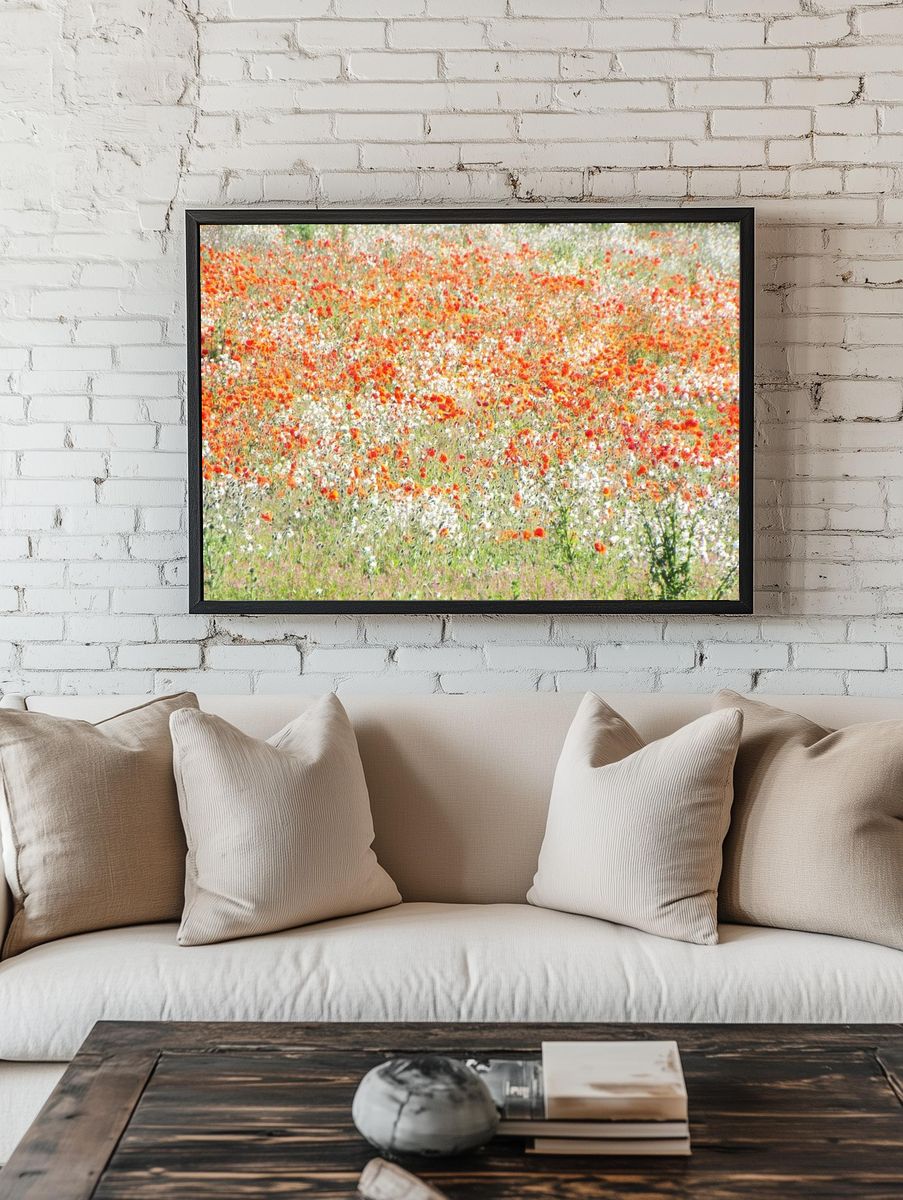 vast field white red flowers. — room view 1