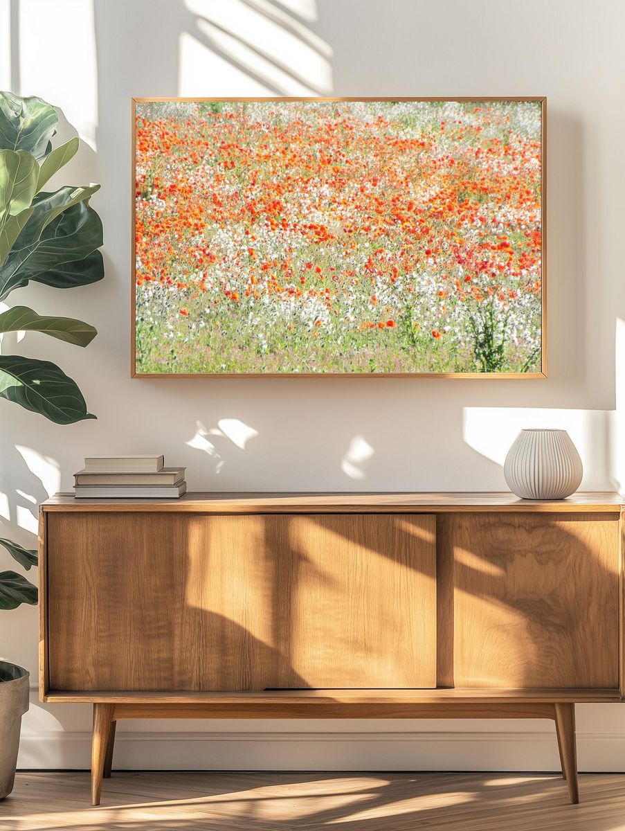vast field white red flowers. — room view 3