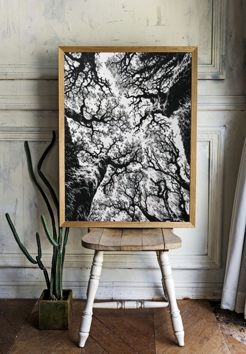 Canopy of Bare Trees Photography Poster. room preview