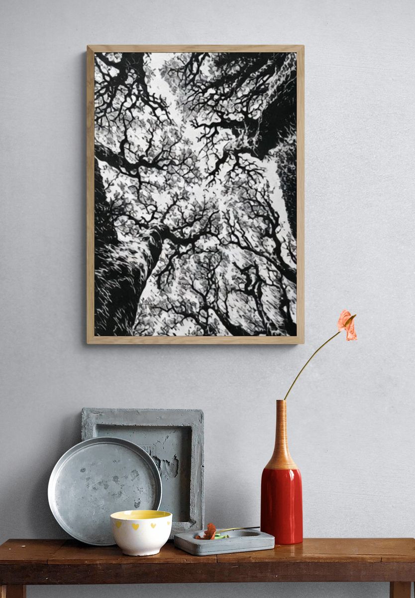 Canopy of Bare Trees Photography Poster. — room view 3
