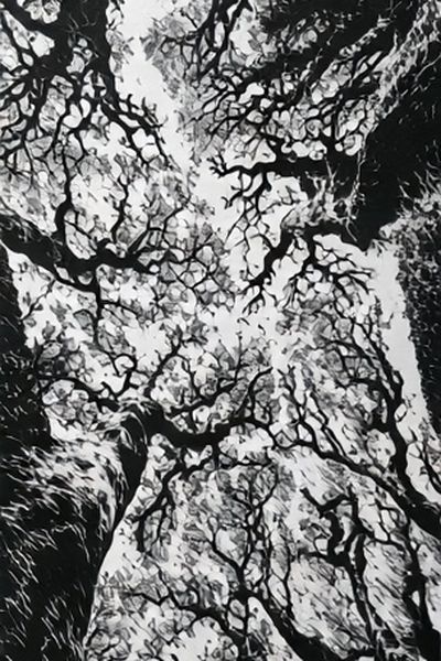 Canopy of Bare Trees Photography Poster. poster