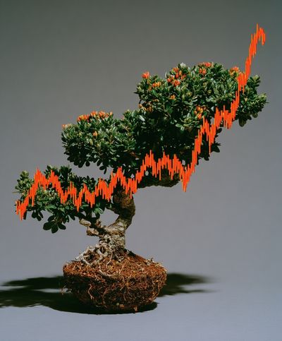 Bonsai Growth Chart Photography Poster.