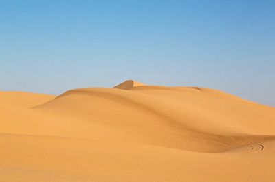 Golden Desert Dunes Poster