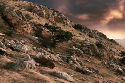 Rocky Hillside Sunset Landscape Poster.