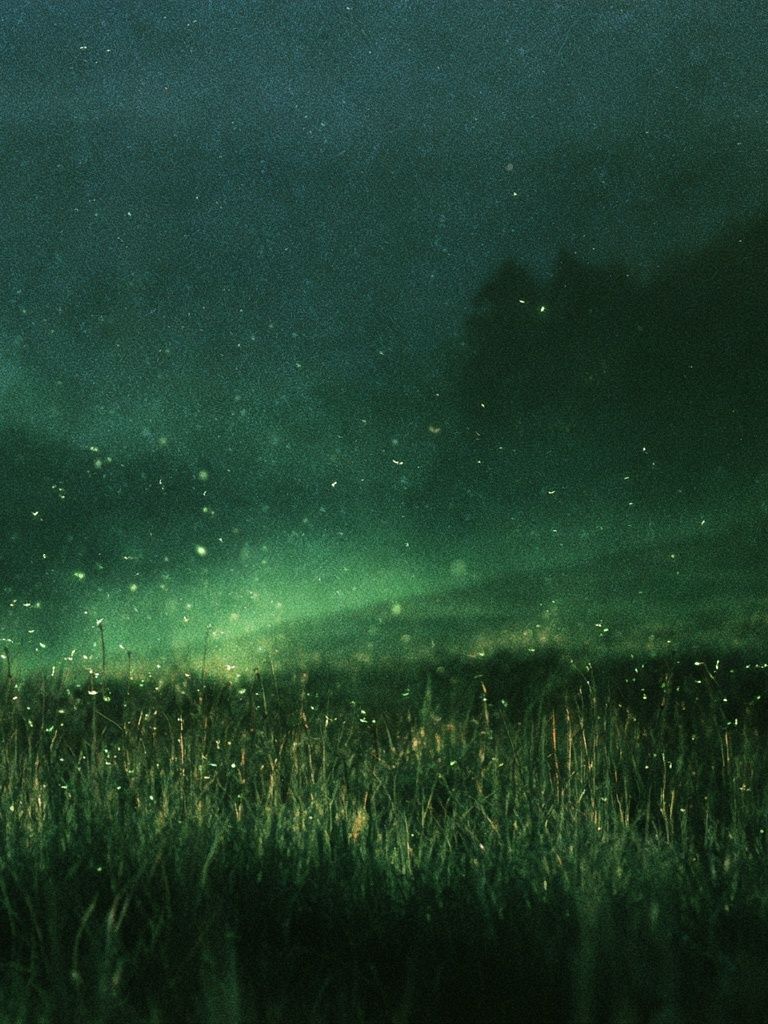 Firefly Meadow Night Poster. poster detail