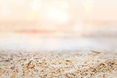 Summer beach background shot bokeh.