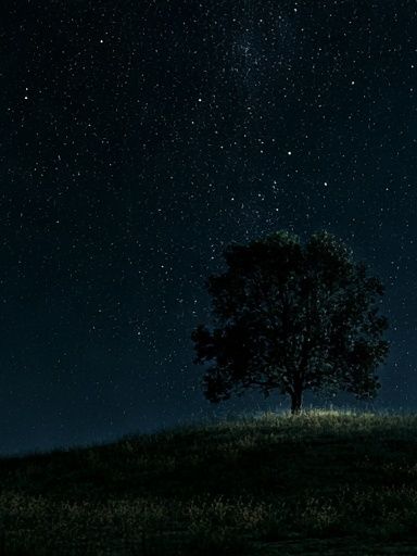 Starry Night Tree Poster. poster detail