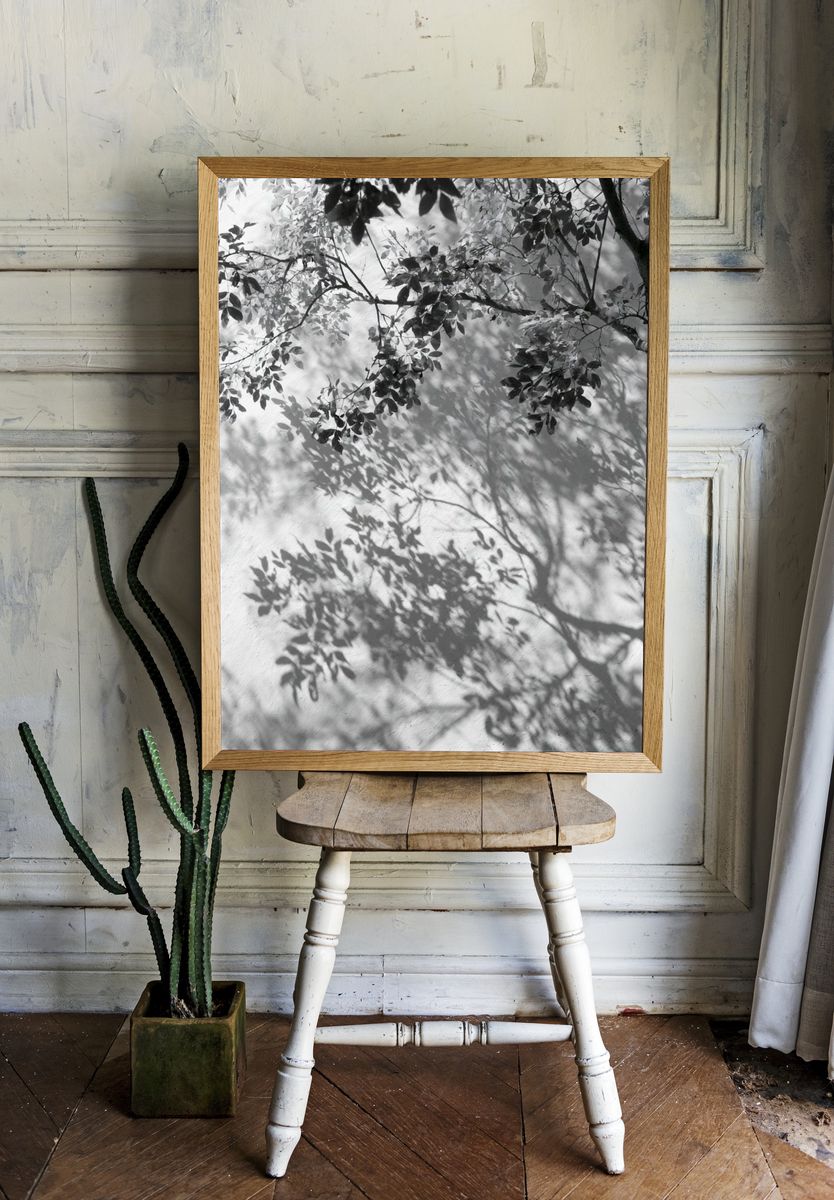 Tree Shadows Black-White Print. room preview
