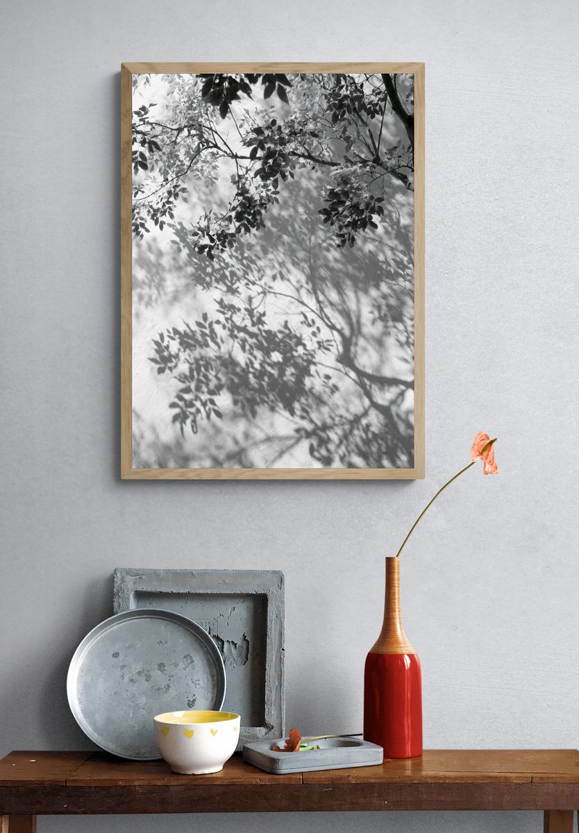 Tree Shadows Black-White Print. — room view 3