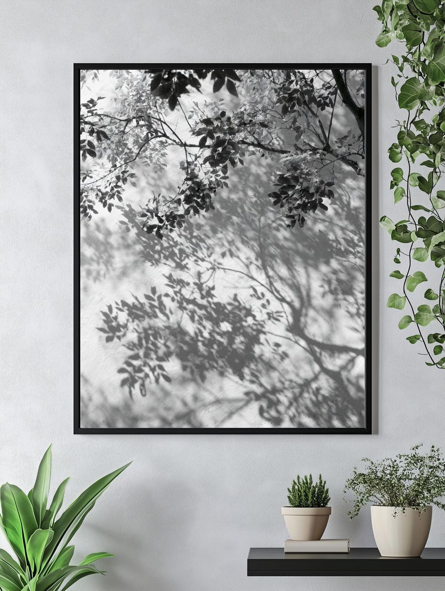 Tree Shadows Black-White Print. — room view 4