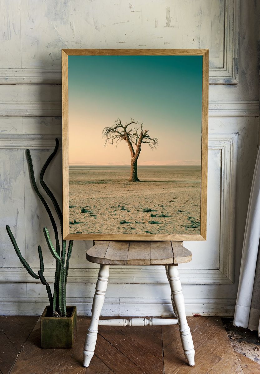 Solitary Desert Tree Poster. room preview