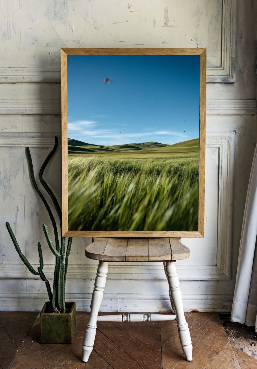 Lush Green Fields Under Blue Sky — Nature Print. — room view 1