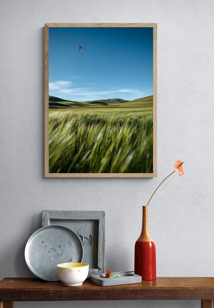 Lush Green Fields Under Blue Sky — Nature Print. — room view 3