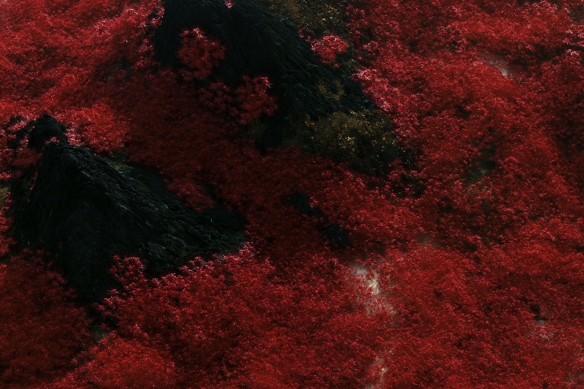 Crimson Forest Abstract Landscape Print. poster detail
