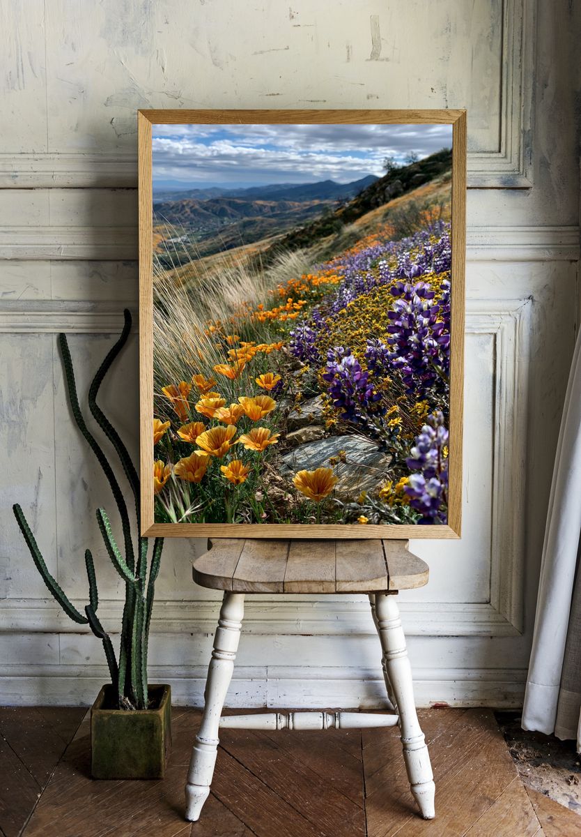 Wildflower Mountain Meadow Photography Poster. room preview