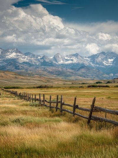 Mountain Landscape — Nature Print