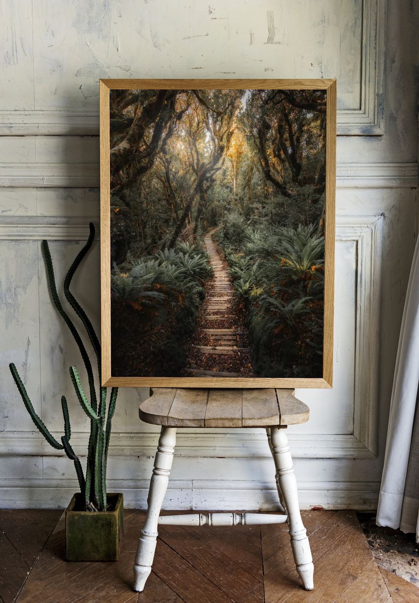 Pathway New Zealand tropical jungle room preview