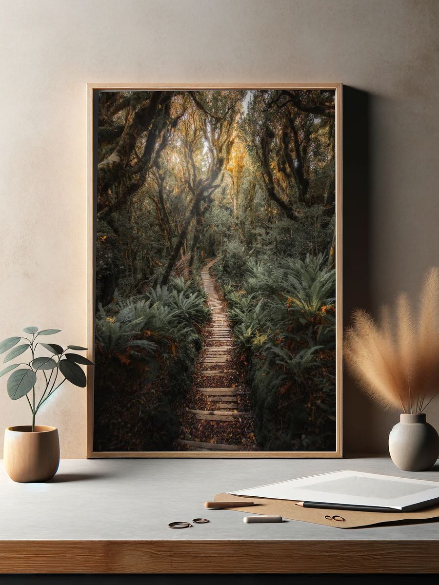 Pathway New Zealand tropical jungle. — room view 2