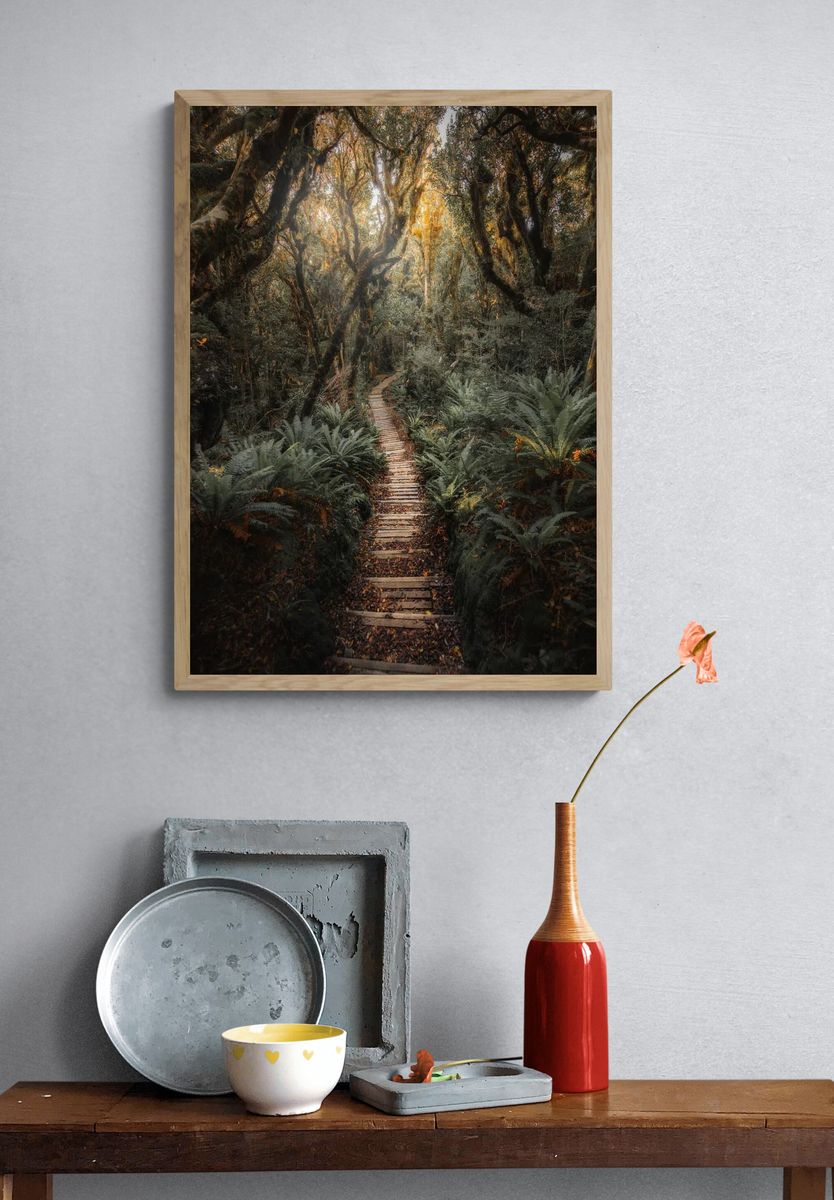 Pathway New Zealand tropical jungle. — room view 3