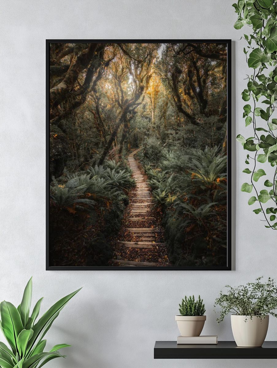 Pathway New Zealand tropical jungle. — room view 4