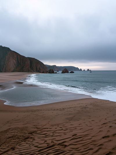 Misty Coastal Beach Landscape Poster.