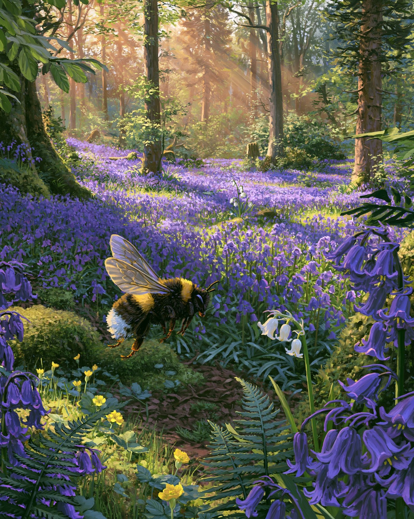 Sunlit Bluebell Forest Poster. poster — nature art
