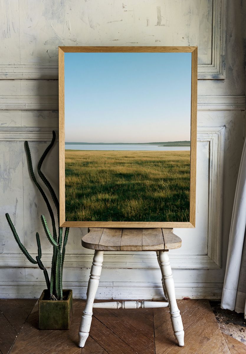 Misty Lakeside Meadow Photography Poster. room preview