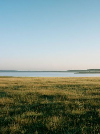 Misty Lakeside Meadow Photography Poster.