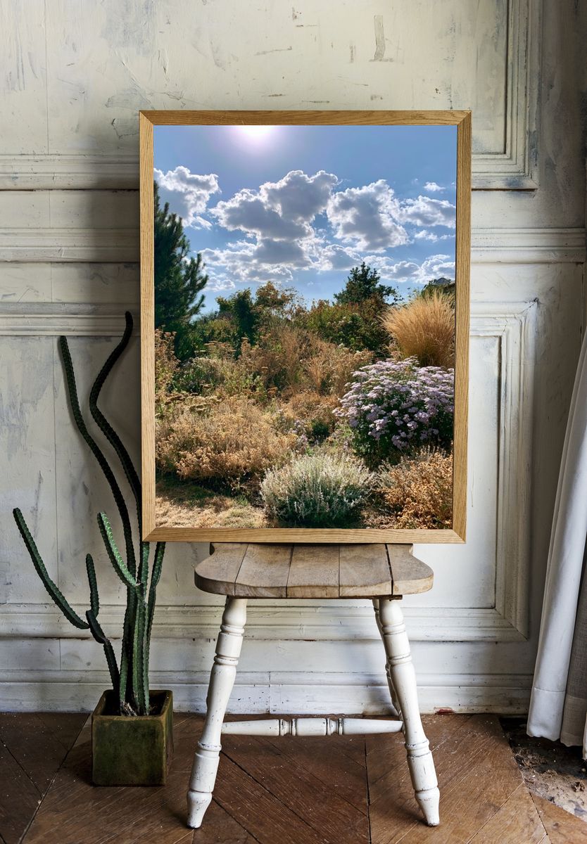 Sunlit Cottage Garden Photography Poster. — room view 1