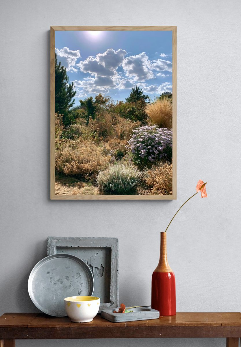 Sunlit Cottage Garden Photography Poster. — room view 3