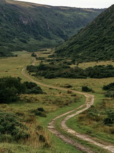 Winding Valley Landscape Poster.