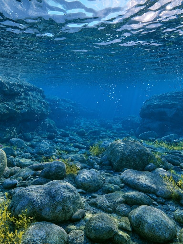 Underwater Rocky Seascape Print. poster — nature art
