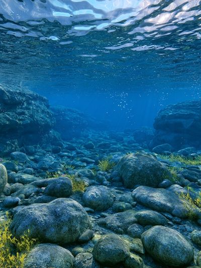 Underwater Rocky Seascape Print. poster