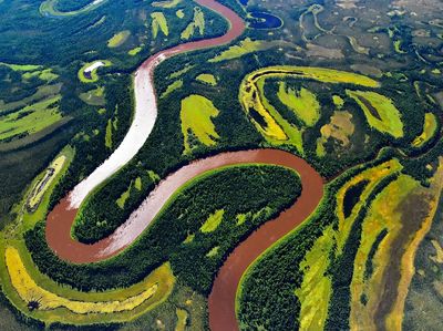 Winding River Delta Landscape Poster