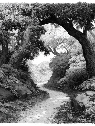 Forest Path Black-White Print.