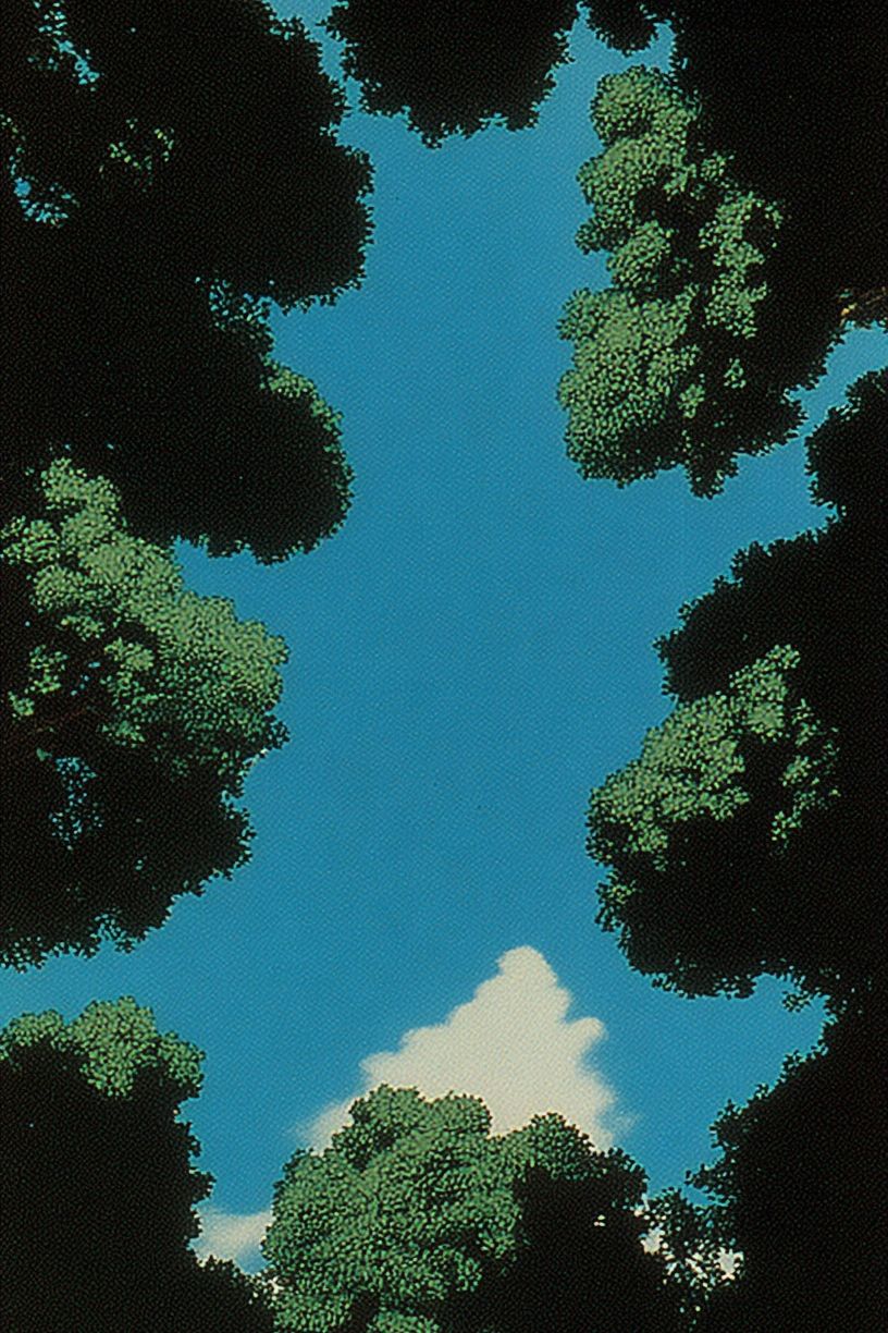 Canopy Sky Forest Poster. poster — nature art