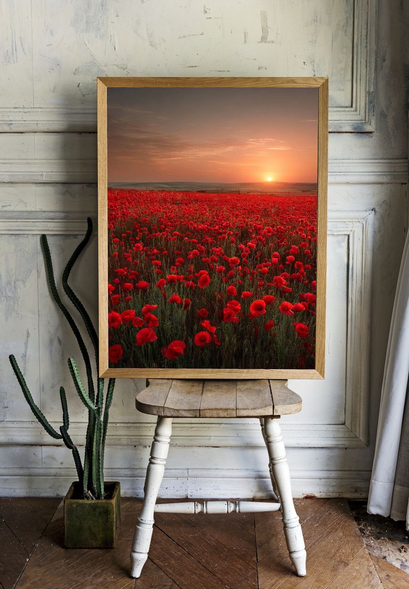 Poppy Field Sunset Nature Print. room preview