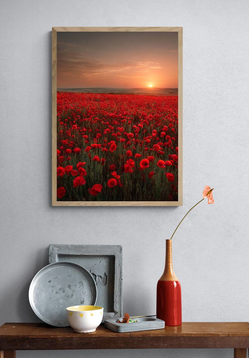 Poppy Field Sunset Nature Print. — room view 3