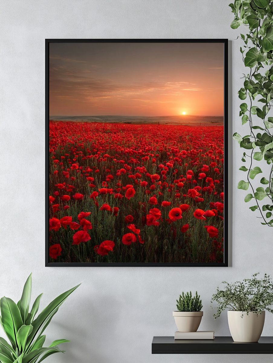 Poppy Field Sunset Nature Print. — room view 4
