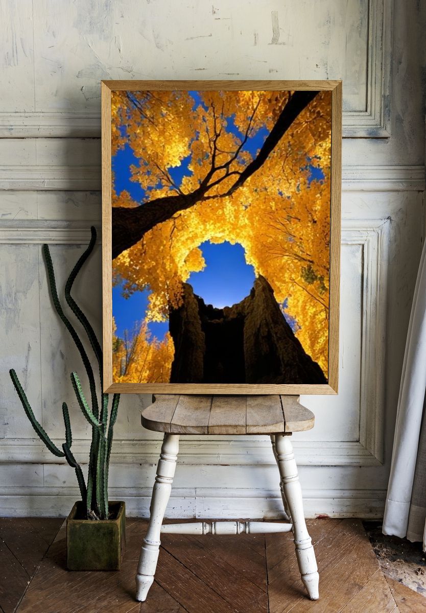 Golden Autumn Trees Poster. room preview